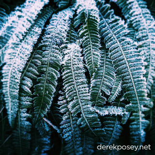 _port23